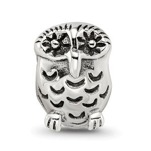 Pandora charm ⭐️🦉
